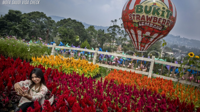 Festival Strawberry Lembang
