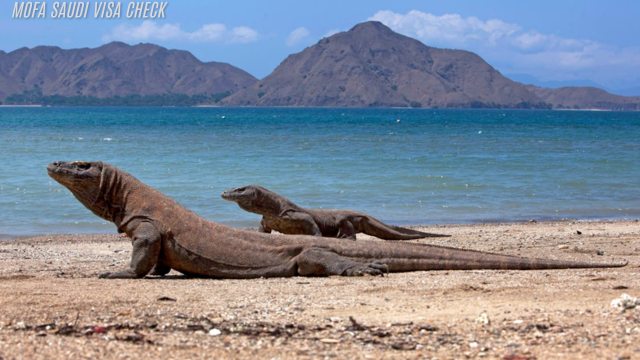 Taman Nasional Komodo