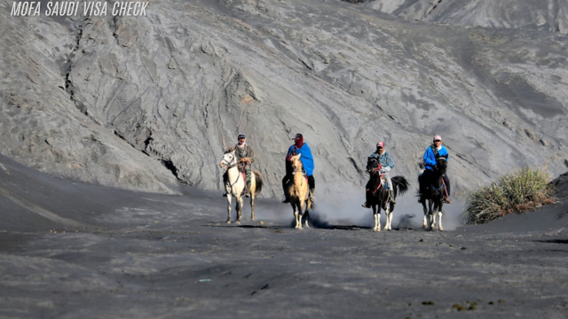 Tur Liburan Menunggangi Kuda - Pengalaman Liburan Seru