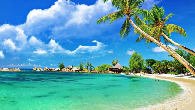 Liburan Sempurna di Pantai