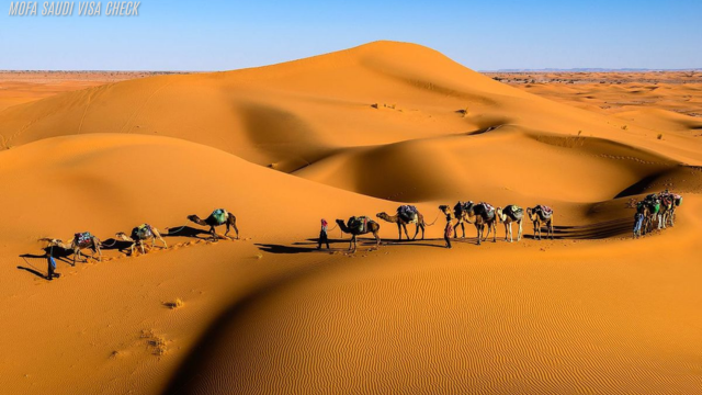 Rekomendasi Wisata Gurun Sahara