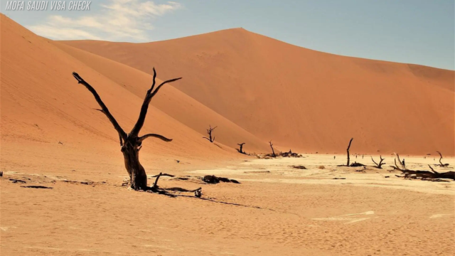 Gurun Namib, Namibia