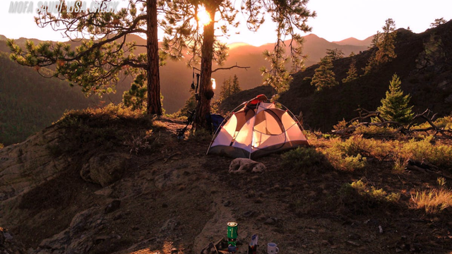 Camping di Alam Terbuka Peralatan, Tips, dan Keseruan
