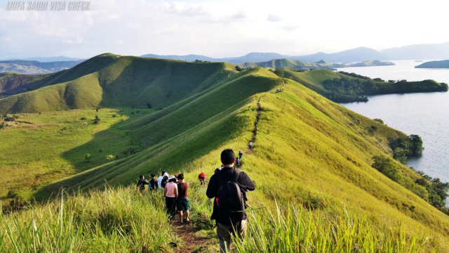 Bukit Teletubbies, Wamena,