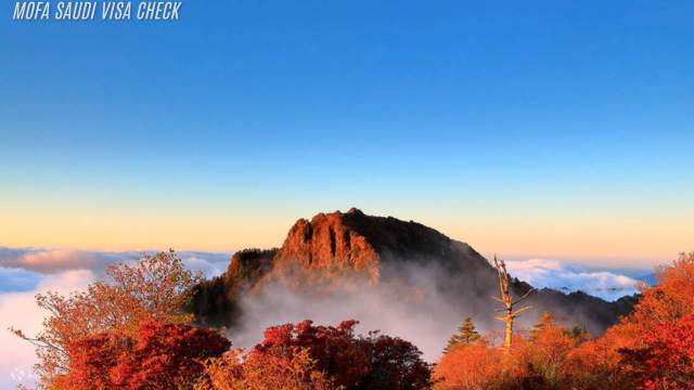 Menjelajahi Keindahan Gunung Jirisan di Korea Selatan