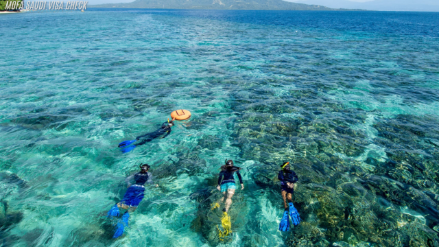 snorkeling di Bunaken