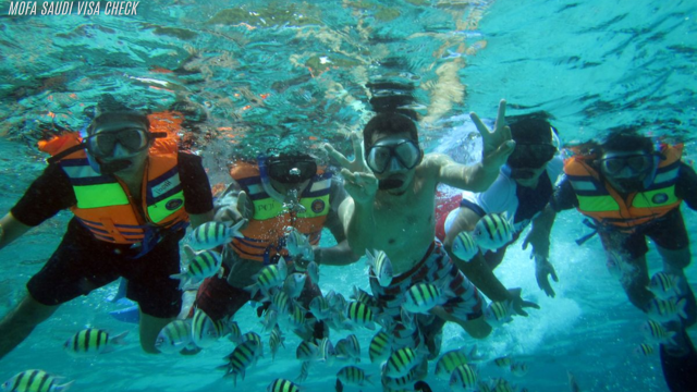 Snorkeling di Pulau Weh
