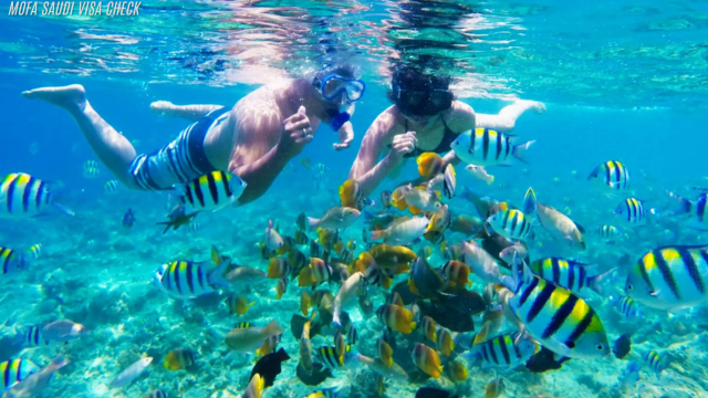 Snorkeling di Gili Trawangan