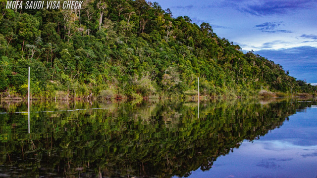 Liburan Menyusuri Sungai Amazon Yang Panjang