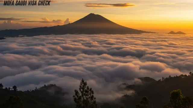 Saran Liburan - Berkunjung Ke Negeri Di Atas Awan